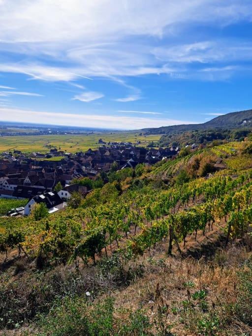Entre Vignes Et Vergers Gite Parenthese Gueberschwihr Luaran gambar