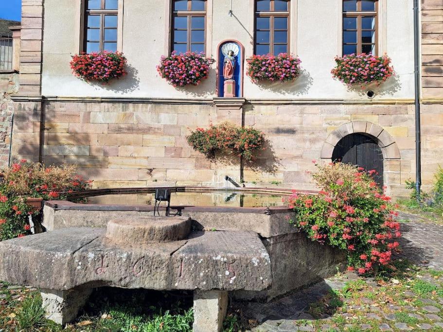 Entre Vignes Et Vergers Gite Parenthese Gueberschwihr Luaran gambar